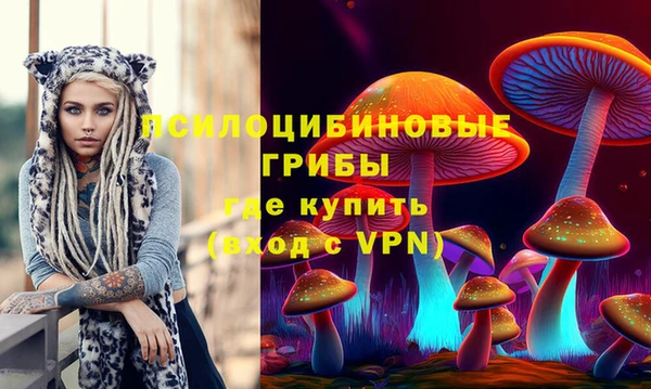 а пвп мука Алзамай