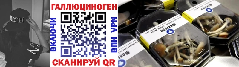 где продают наркотики Чердынь Галлюциногенные грибы Psilocybe